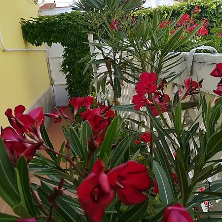 Appartamento Castello Vendeg Es Apartmanhaz