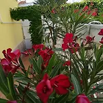 Apartamento Castello Vendég és
