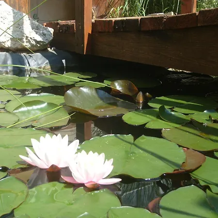 Apartament Castello Vendeg Es Apartmanhaz *