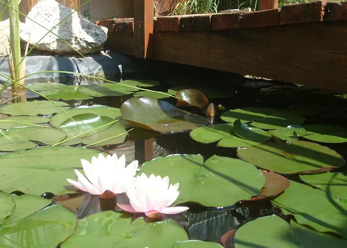 Apartman Castello Vendeg Es Apartmanhaz *