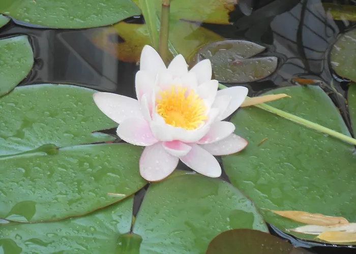 Apartamento Castello Vendeg Es Apartmanhaz *