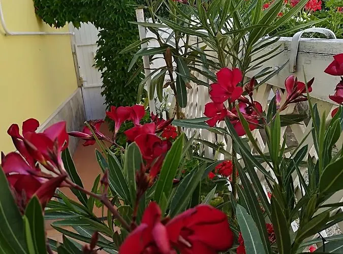 Apartamento Castello Vendeg Es Apartmanhaz